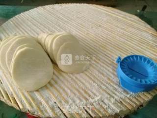 清真羊肉白菜水饺的做法步骤：10