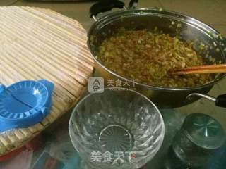 清真羊肉白菜水饺的做法步骤：11