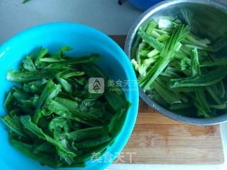 豆豉鲮鱼油麦菜的做法步骤：1