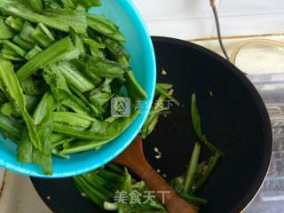豆豉鲮鱼油麦菜的做法步骤：6