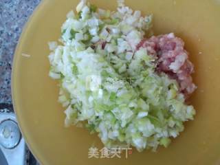 锅贴的做法步骤：2