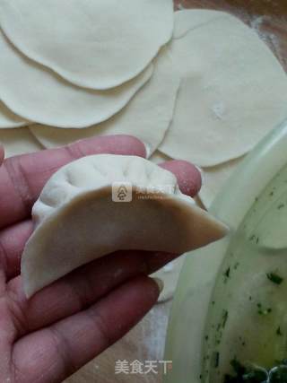烫面荠菜煎饺的做法步骤：11