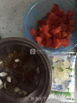 木瓜牛奶炖桃胶皂角的做法步骤：2
