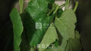 清炒南瓜叶的做法步骤：1