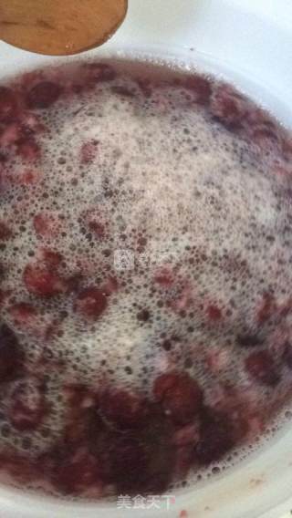 杨梅陈酿酵素的做法步骤：5