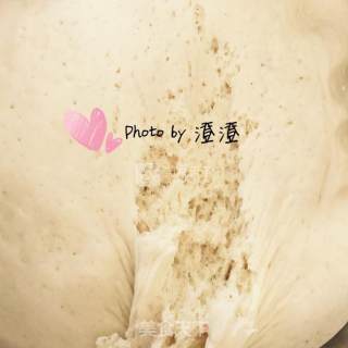 包子的做法步骤：12