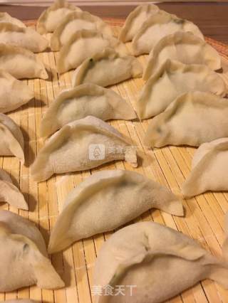 海螺鲜肉水饺的做法步骤：5
