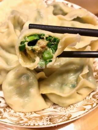 海螺鲜肉水饺的做法步骤：7