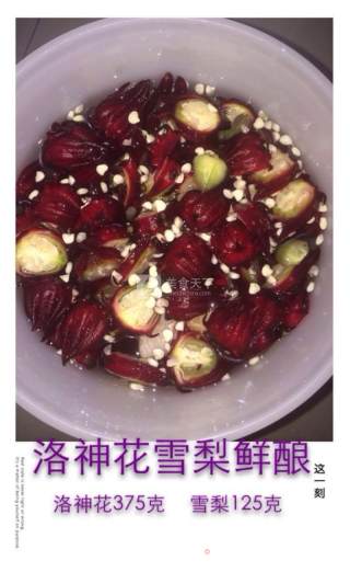 洛神花梨子酵素的做法步骤：4