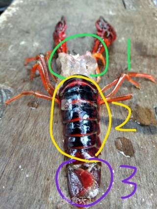 口味虾的做法步骤：2