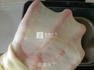 波兰种蜜豆小餐包的做法步骤：7