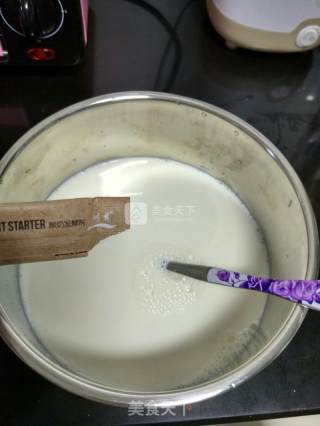 自制原味酸奶的做法步骤：3
