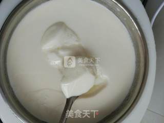 自制原味酸奶的做法步骤：6