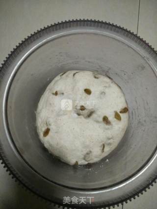 全麦葡萄干面包的做法步骤：3