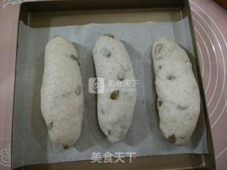 全麦葡萄干面包的做法步骤：8