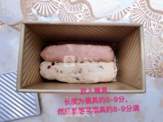 四色吐司面包的做法步骤：9