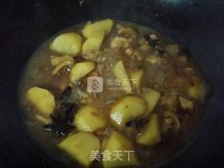土豆焖鸡的做法步骤：5