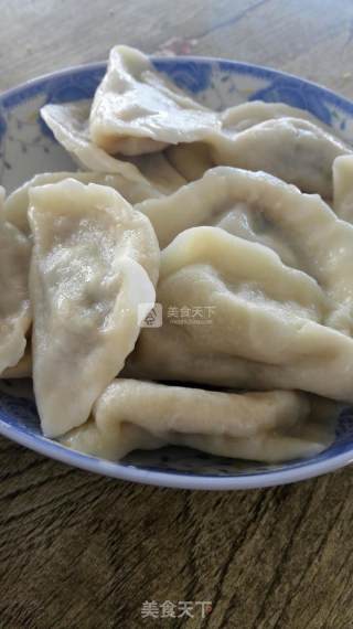 西葫芦水饺的做法步骤：9