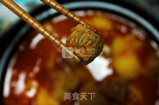 西红柿炖牛腩的做法步骤：19