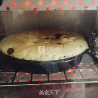 薄荷and蔓越莓戚风蛋糕的做法步骤：7