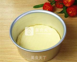 大理石芝士蛋糕的做法的做法步骤：11