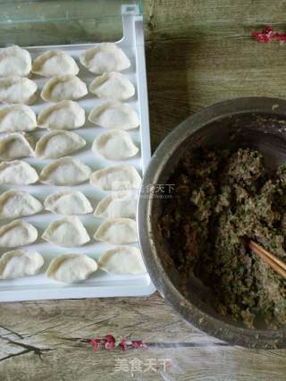 洋葱长豆牛羊肉水饺的做法步骤：6