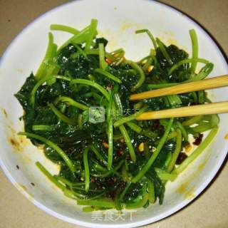 凉拌红薯叶的做法步骤：6