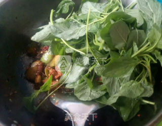 黄瓜苋菜炒肉的做法步骤：9
