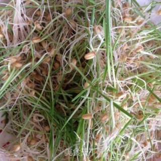 麦芽糖，童年记忆里的美味的做法步骤：6