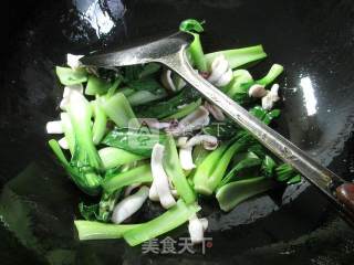 鱿鱼炒青菜的做法步骤：5