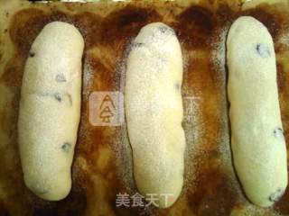 蔓越莓奶酪包的做法步骤：17