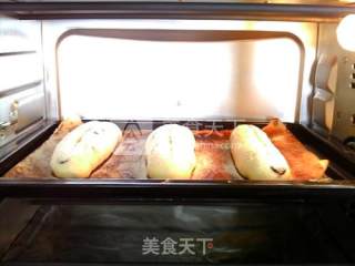 蔓越莓奶酪包的做法步骤：19
