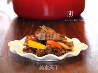 无水子姜焖鸭#厨房致欲系#的做法步骤：10