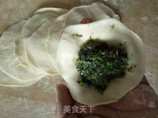 猪肉茴香馅饺子的做法步骤：6