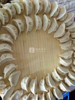 猪肉茴香馅饺子的做法步骤：7