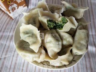 猪肉茴香馅饺子的做法步骤：8