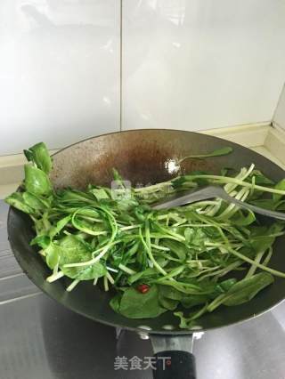 清炒鸡毛菜的做法步骤：3