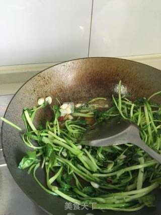 清炒鸡毛菜的做法步骤：4