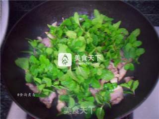 薄荷炒肉片的做法步骤：7