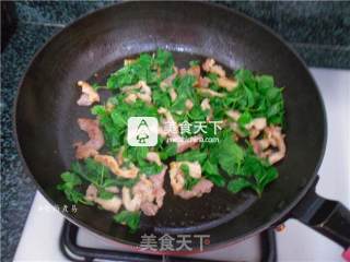 薄荷炒肉片的做法步骤：8