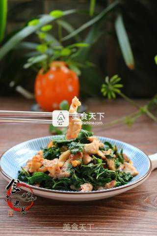薄荷炒肉片的做法步骤：9
