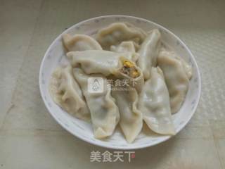 紫菜玉米肉馅饺的做法步骤：9