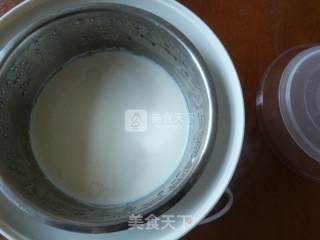 自制老酸奶的做法步骤：6