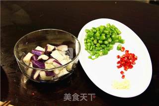 素小炒肉茄子丁素心居静不吸油的做法的做法步骤：9