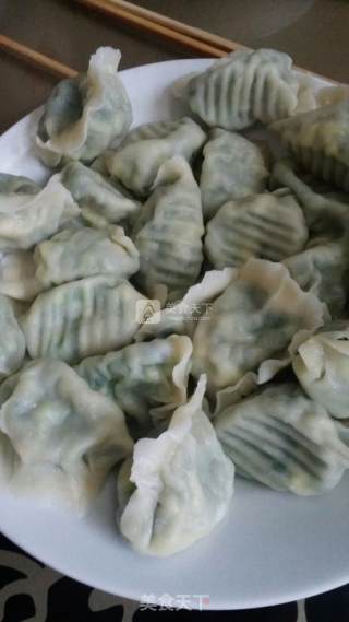 韭菜鸡蛋饺子的做法步骤：15
