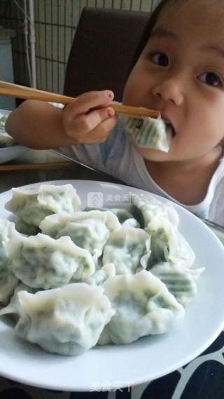 韭菜鸡蛋饺子的做法步骤：16