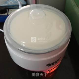 原味酸奶的做法步骤：3
