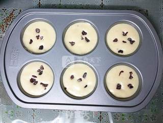 蔓越莓海棉小蛋糕的做法步骤：14