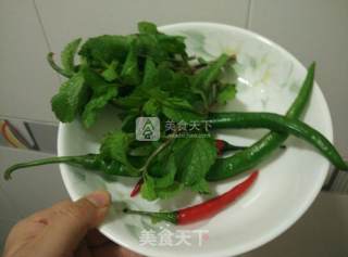 客家薄荷鸭的做法步骤：3