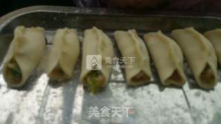 营养美味白菜猪肉饺子（内附锅贴做法）的做法步骤：7